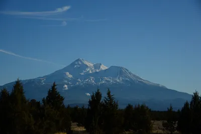 DSC_2978 (Large).JPG